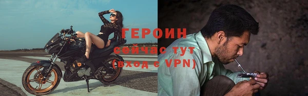 крисы Дмитров