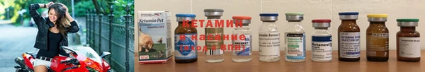 крисы Дмитров