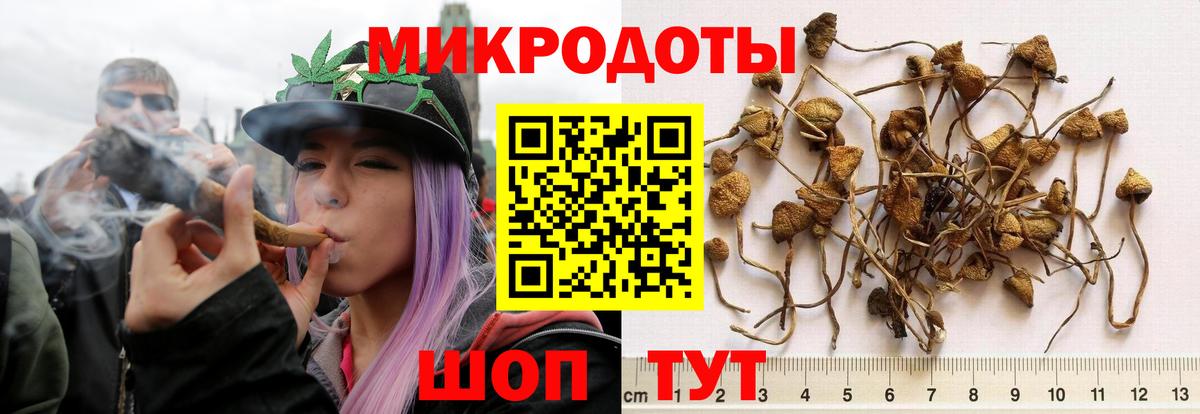 Псилоцибиновые грибы Cubensis  Псилоцибиновые грибы Psilocybine cubensis  Радужный  хочу   Вход с VPN 